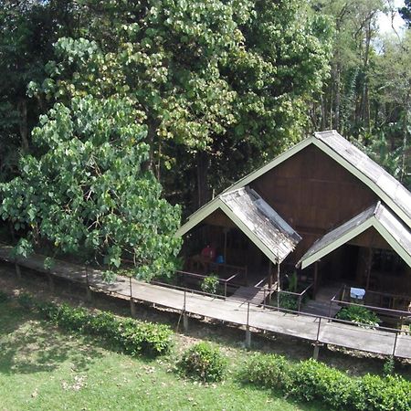 Khao Sok Riverside Cottages Khao Sok National Park Rum bild