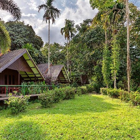 Khao Sok Riverside Cottages Khao Sok National Park Exteriör bild