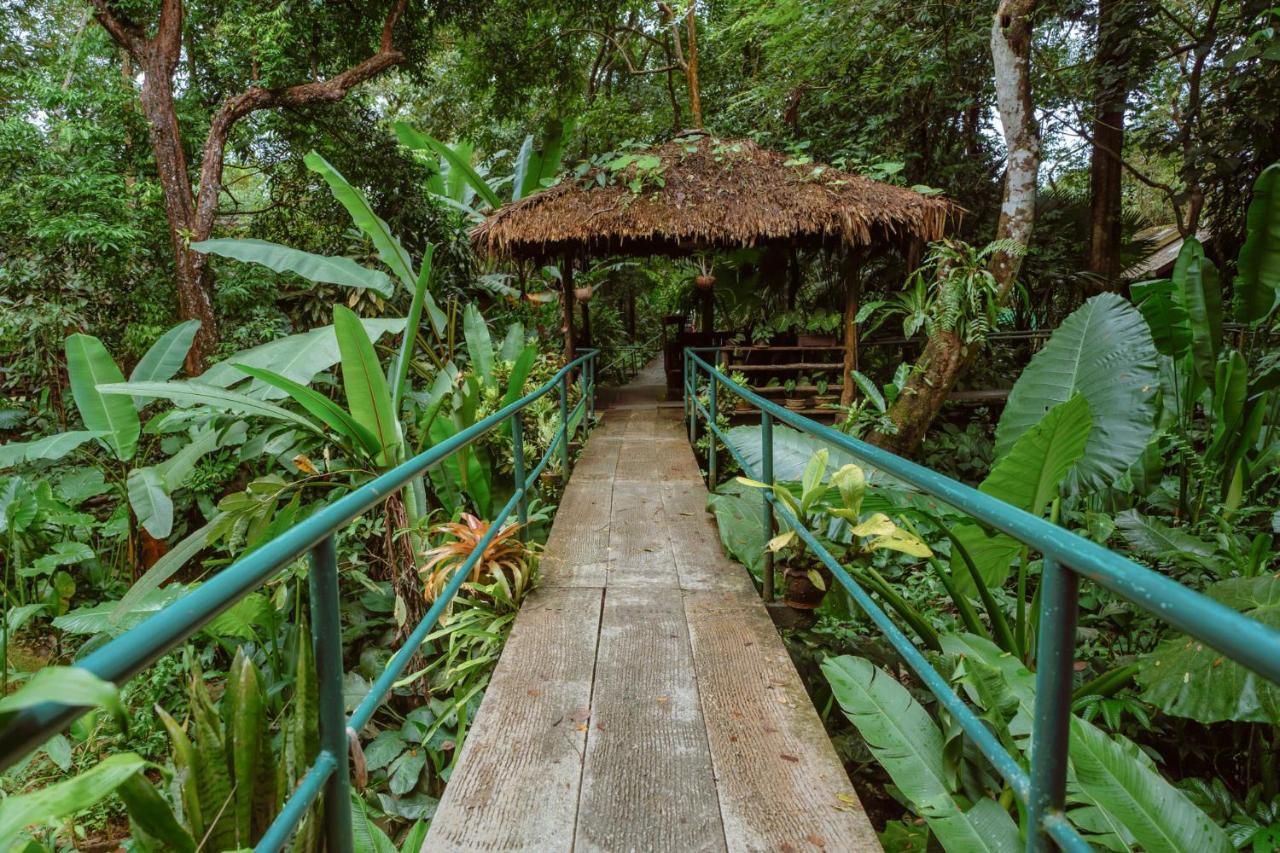 Khao Sok Riverside Cottages Khao Sok National Park Exteriör bild