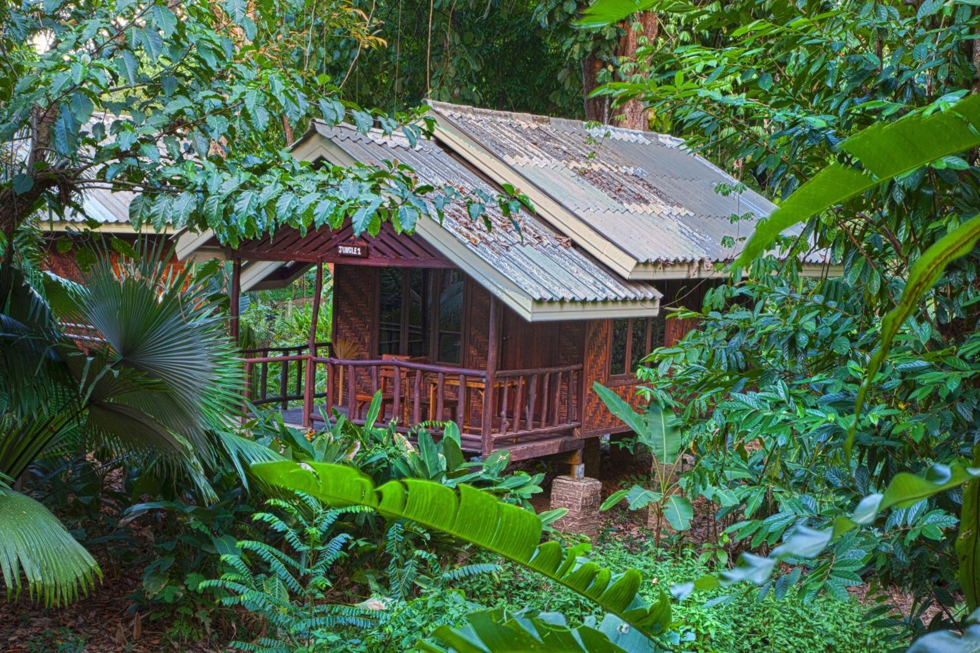 Khao Sok Riverside Cottages Khao Sok National Park Rum bild