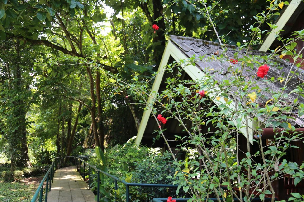 Khao Sok Riverside Cottages Khao Sok National Park Exteriör bild