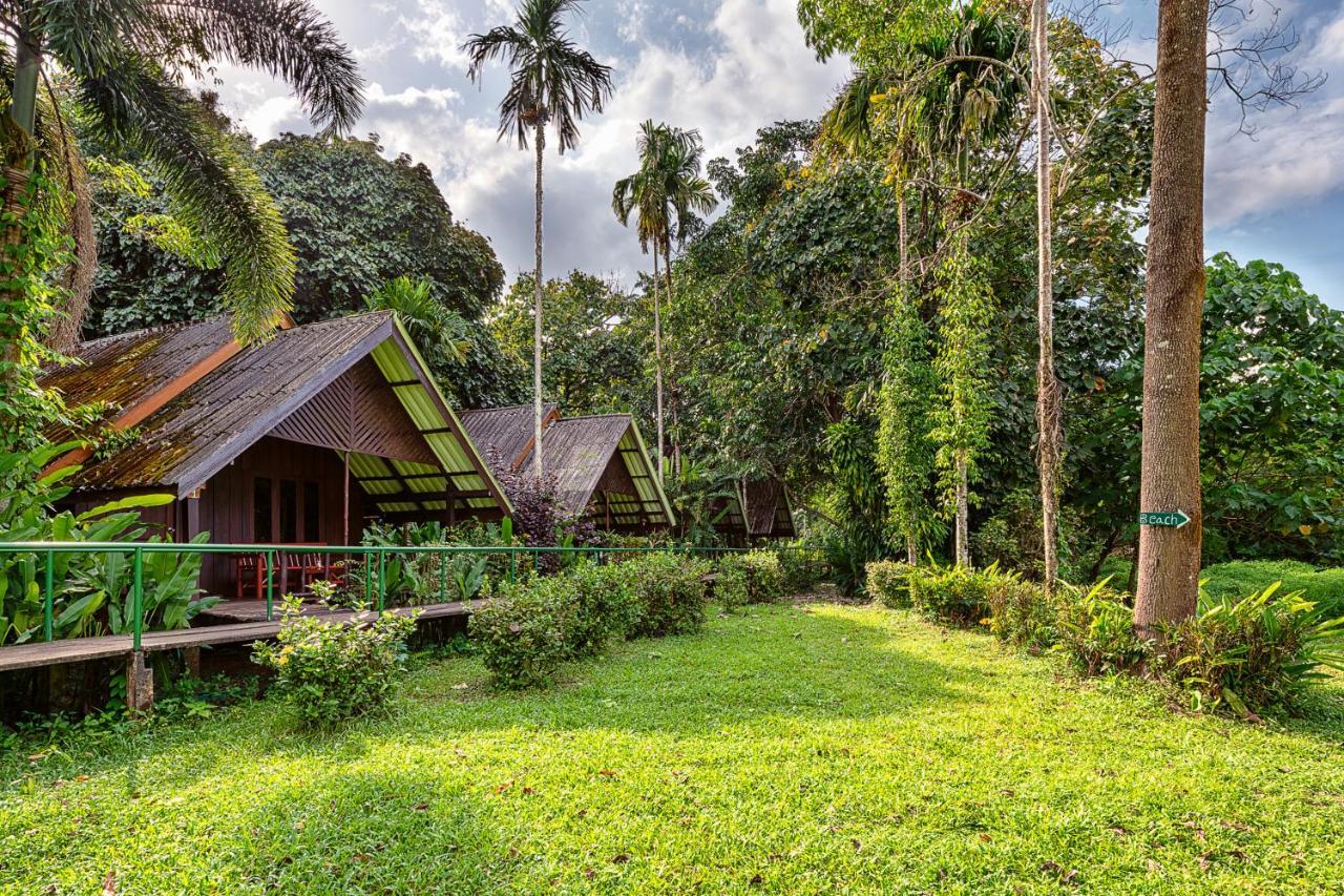 Khao Sok Riverside Cottages Khao Sok National Park Exteriör bild