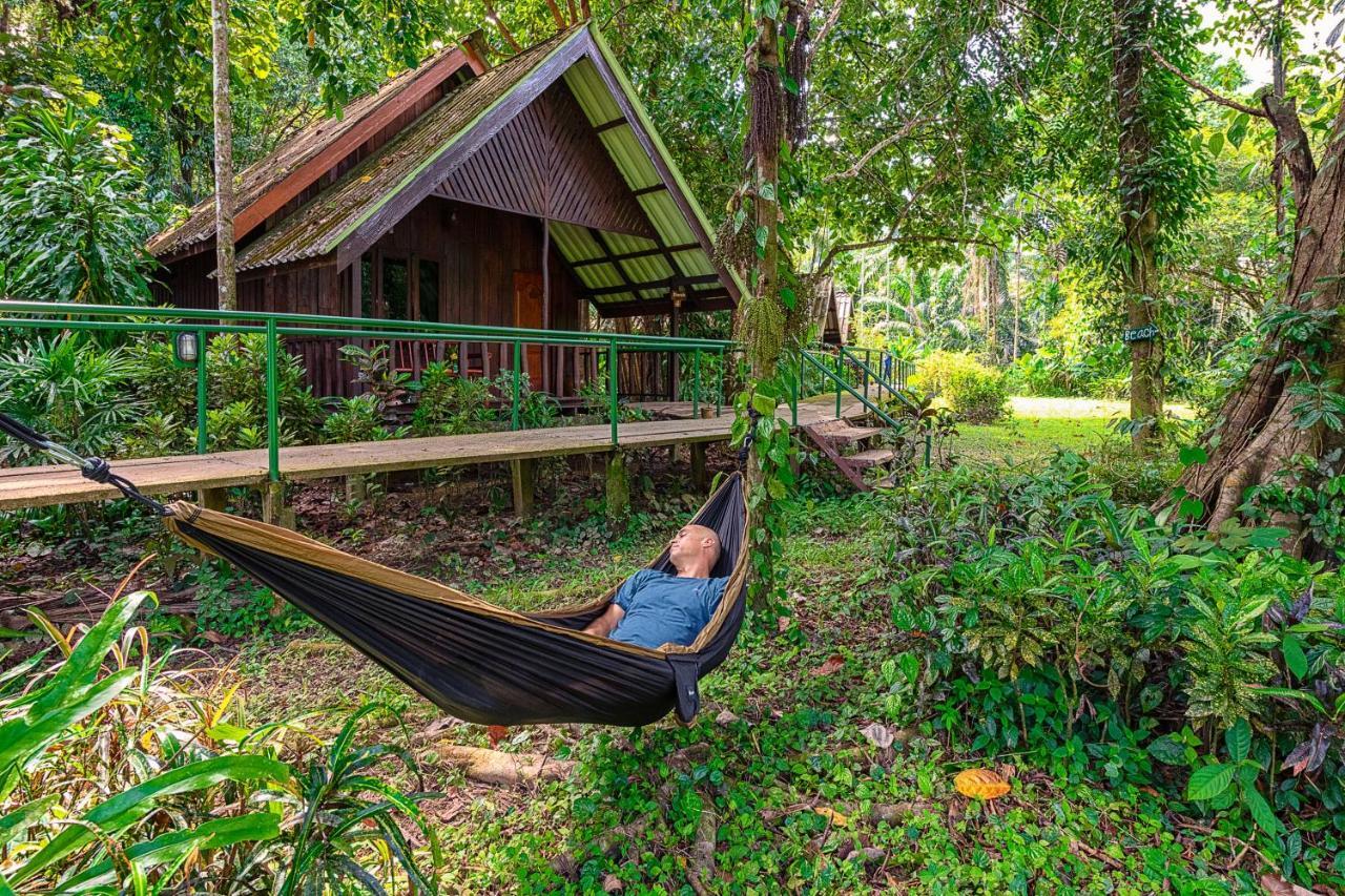 Khao Sok Riverside Cottages Khao Sok National Park Exteriör bild